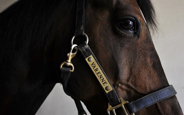 Il trionfo di Varenne al Prix d’Amérique