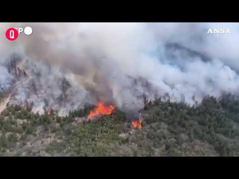 Argentina, violento incendio devasta foresta