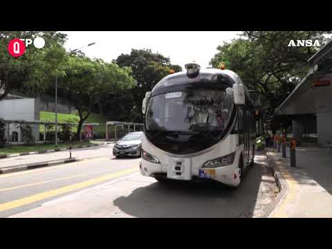 Singapore, inizia la sperimentazione di bus senza conducente