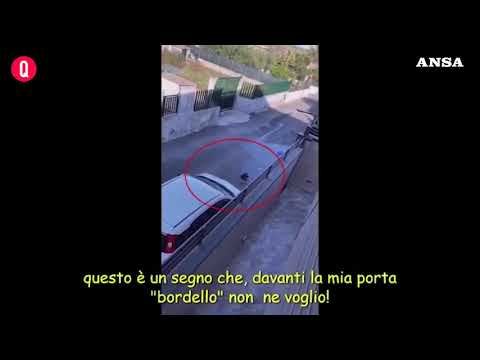 Mafia, gatto lo sveglia con miagolii: ucciso con un fucile