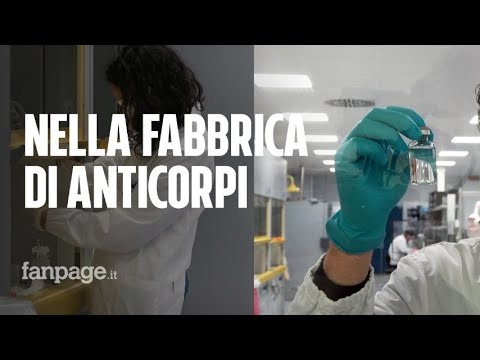 Covid, viaggio nella fabbrica di anticorpi monoclonali di Latina