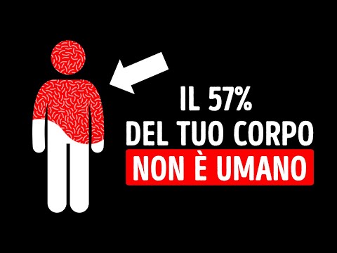 Condividiamo più della Metà del Nostro Corpo con Qualcosa di Non Umano