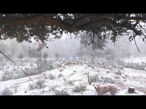 È primavera, ma in Sardegna nevica