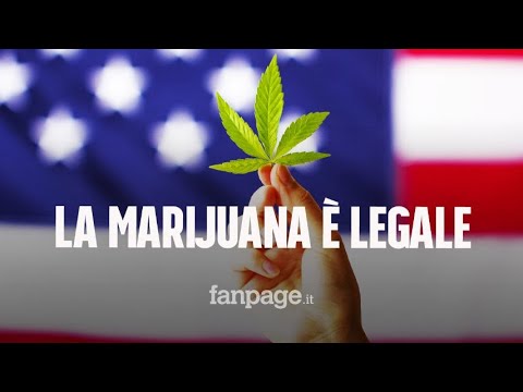 New York legalizza l’uso di marijuana a scopo ricreativo: “Farà crescere l’economia”