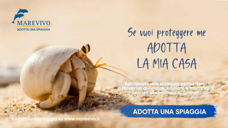 “Adotta una spiaggia”, al via la nuova campagna di Marevivo