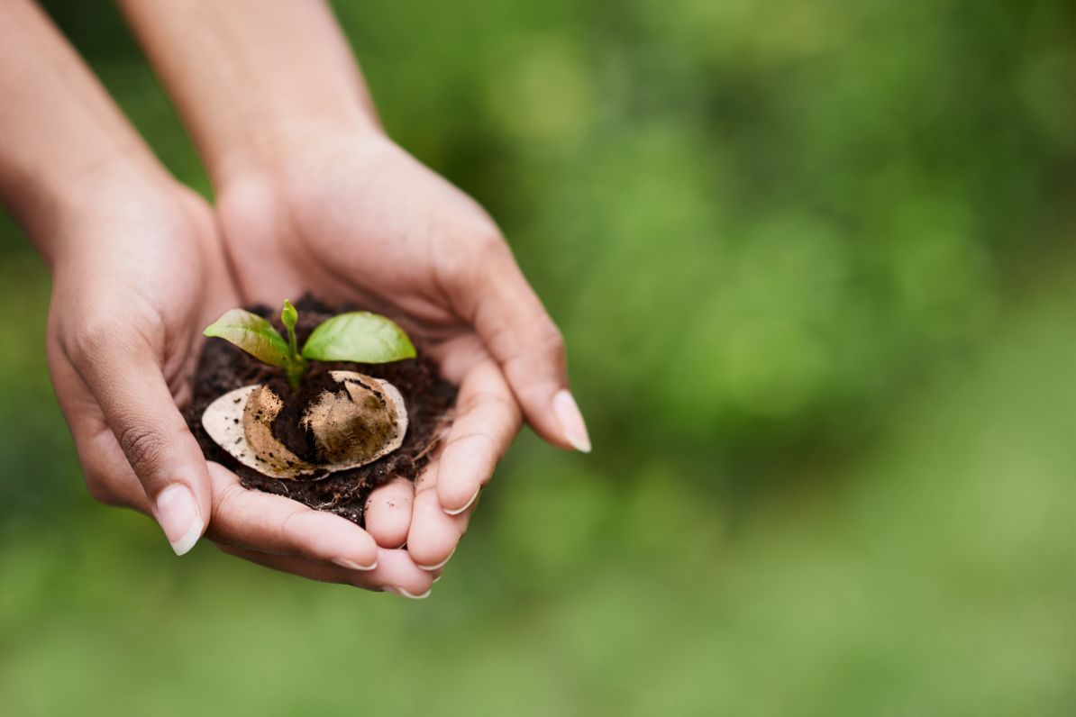 La cialda, per una pausa caffè che rispetta la natura