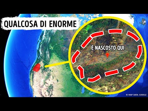 Qualcosa Di Più Grande Del Megalodonte Si Nasconde Nei Boschi