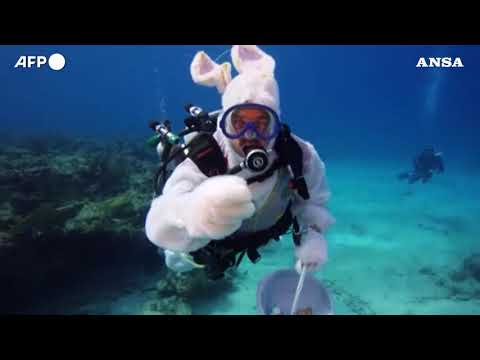 Florida, caccia alle uova di Pasqua sott’acqua