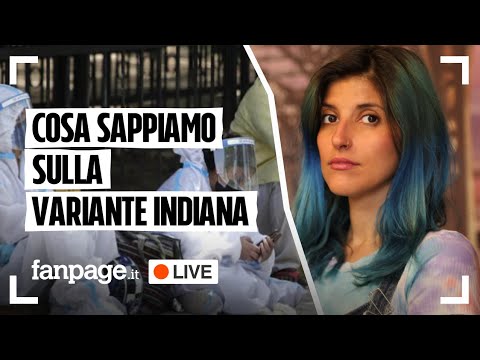 Covid, cosa sappiamo della variante indiana e perché c’è un allarme: tutte le news in diretta