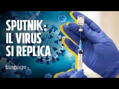 Sputnik, il Brasile boccia il vaccino russo: contiene un virus in grado di replicarsi