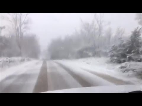 Neve a Trieste e sul Carso, strade e alberi coperti dai fiocchi