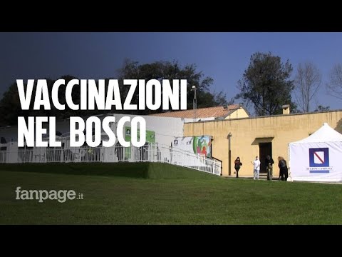 Covid, parte il centro vaccinale nel bosco di Capodimonte, Bellenger: “Bello, sembra la Svizzera”