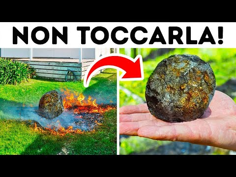 Se Trovi Questa Roccia Nel Tuo Giardino, Non Toccarla