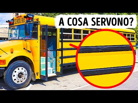 Ecco A Cosa Servono Le Linee Nere Sugli Scuolabus