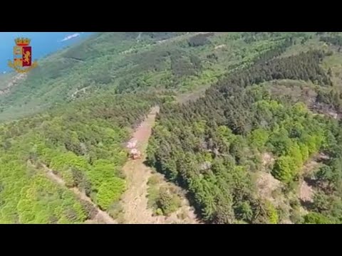 Funivia Stresa-Mottarone, le immagini dall’alto del luogo dello schianto