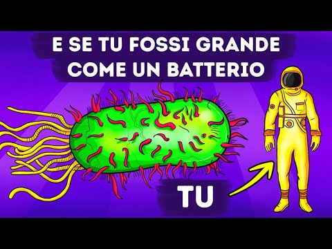 Cosa Succederebbe Se Di Colpo Diventassi Piccolo Come Un Batterio