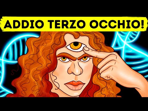 Sembra Che Una Volta Avessimo Un Terzo Occhio