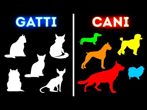 Ecco Perché I Cani Sono Così Diversi Tra Loro E I Gatti No