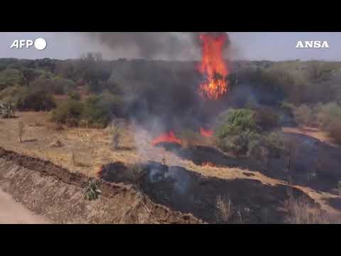 I ranger combattono l’invasione dell’uomo nel piu’ grande parco del Sudan