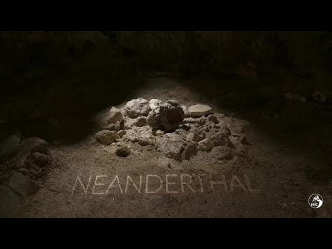 Neanderthal: la scoperta straordinaria