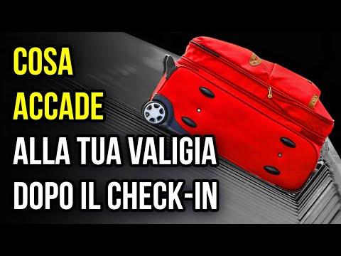 I Tuoi Bagagli Fanno Un Viaggio Incredibile Dopo Il Check-in