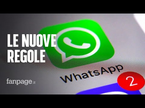 WhatsApp, le nuove regole: cosa succede al tuo account se non le accetti