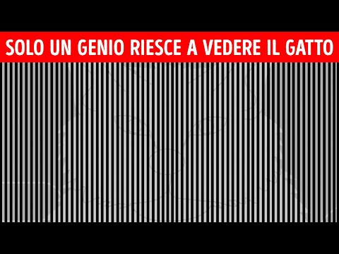 Un Test con Illusioni Ottiche che Mostrerà come i tuoi Occhi ti Ingannano