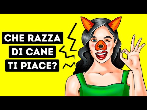 Che Razza di Cane Saresti? | Test della Personalità