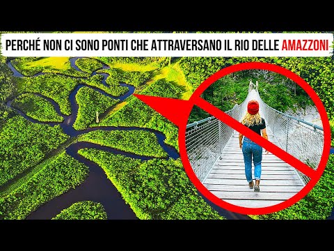 Che Cosa Impedisce di Costruire dei Ponti che Attraversano il Rio delle Amazzoni