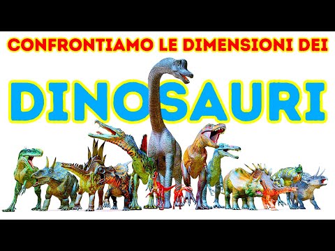 Dinosauri A Confronto Dal Più Grande Al Più Piccolo