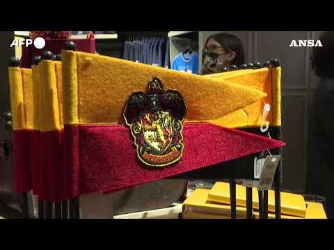 E’ Pottermania a New York: apre il negozio di Harry Potter