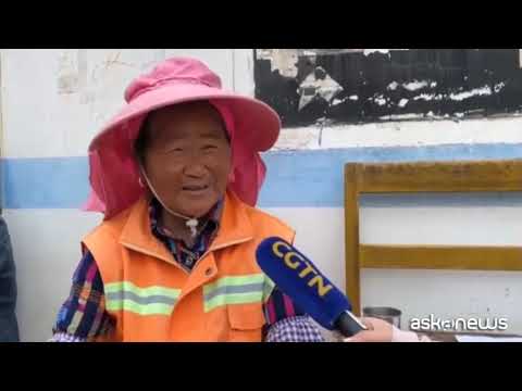 Continua la lunga marcia degli elefanti in Cina, percorsi 500km