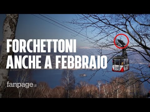 I forchettoni sulla funivia del Mottarone già a febbraio: il video esclusivo per Fanpage.it