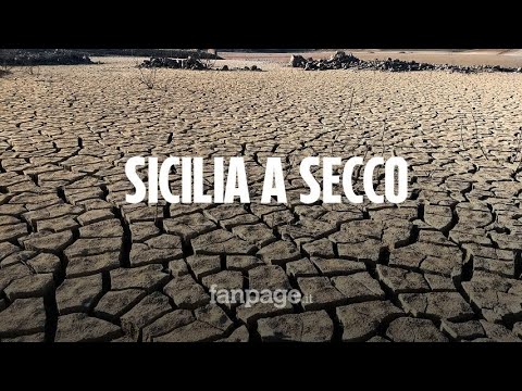 Allarme siccità in Sicilia, la vergogna delle dighe: “Condotte colabrodo, agricoltura senz’acqua”