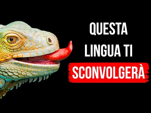 Se Avessi la Lingua di una Lucertola, Non Avresti il Naso