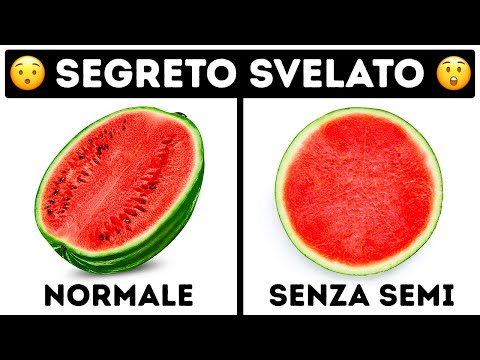 Come Cresce la Frutta Senza Semi e 25 Misteri Incredibili