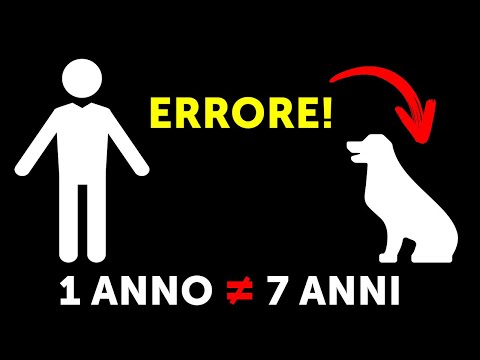 Un Anno Canino Non Equivale A 7 Anni Umani E Altre 14 Verità