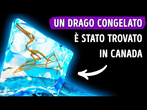 Un “Drago Congelato” è Rimasto Intrappolato nel Ghiaccio per 76 milioni di Anni