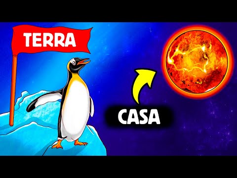 I Pinguini Hanno Delle Sostanze Chimiche Trovate Solo Su Venere