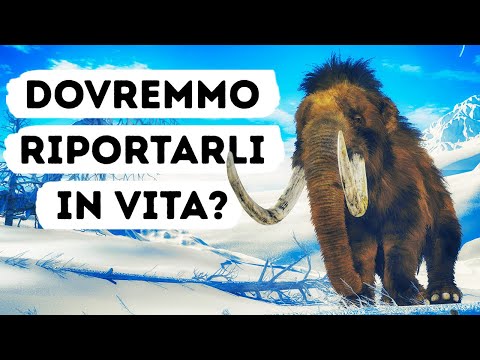 Forse Vedremo Di Nuovo I Mammut Vivi E Vegeti Nel Prossimo Futuro