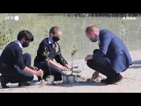 Il principe William in visita negli Emirati Arabi