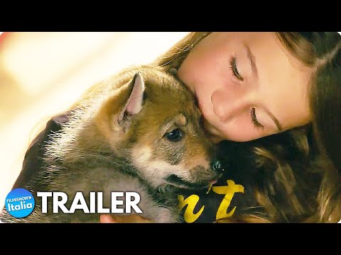 VICKY E IL SUO CUCCIOLO (2022) Trailer ITA del Film sull’Amiciza con un Lupo