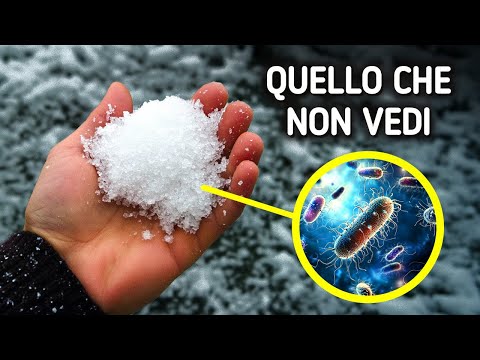 Curiosità sulla Neve che Ti Lasciano Gelato